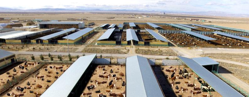 hayvan çiftliği bor yalıtımı bor izolasyonu